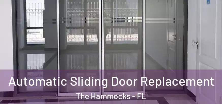  Automatic Sliding Door Replacement The Hammocks - FL