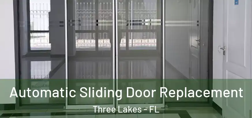  Automatic Sliding Door Replacement Three Lakes - FL