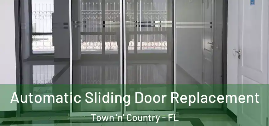  Automatic Sliding Door Replacement Town 'n' Country - FL