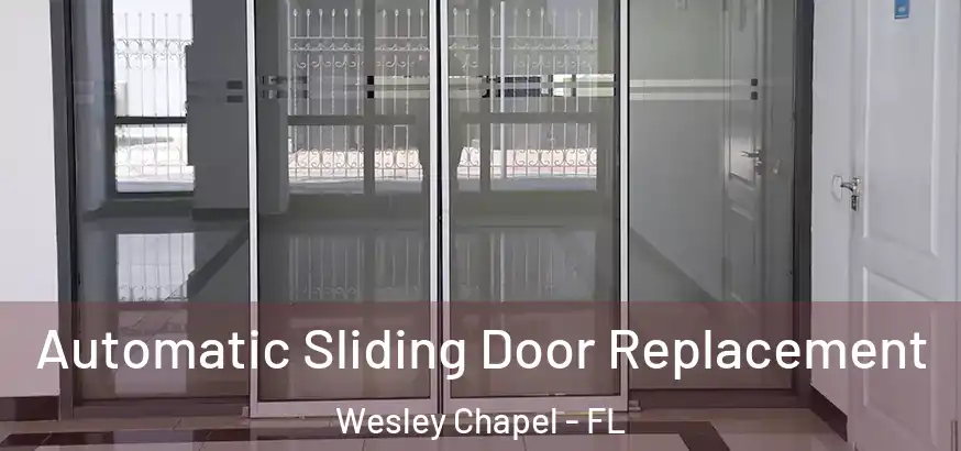  Automatic Sliding Door Replacement Wesley Chapel - FL