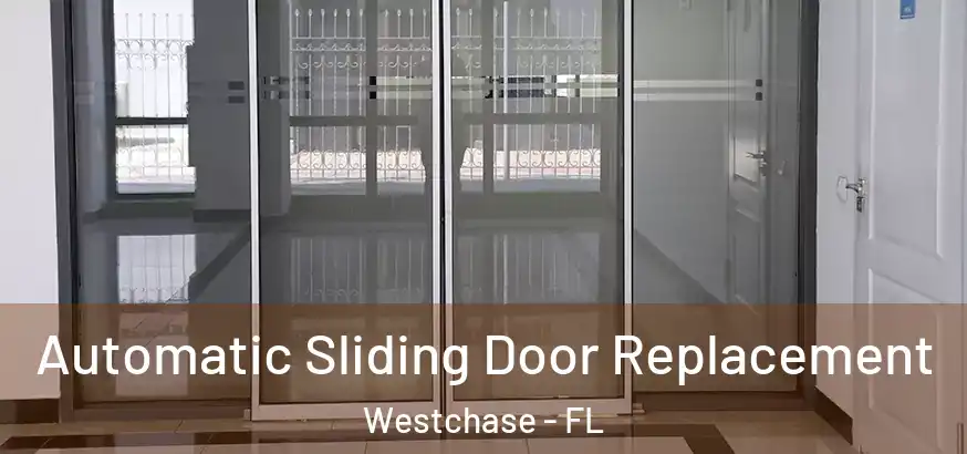  Automatic Sliding Door Replacement Westchase - FL