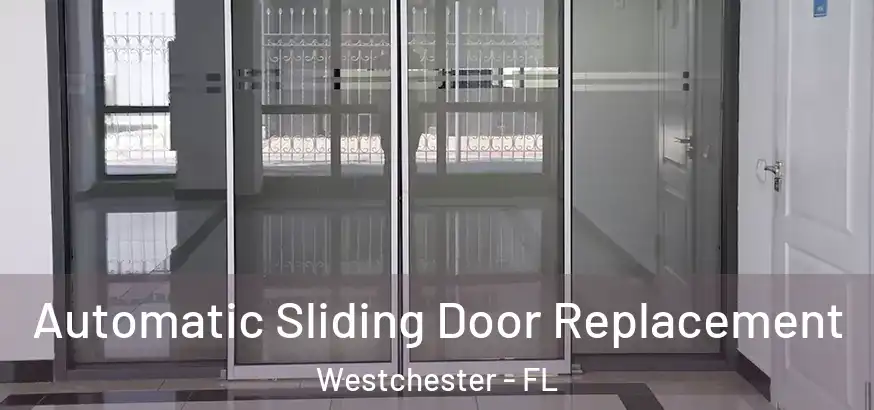 Automatic Sliding Door Replacement Westchester - FL