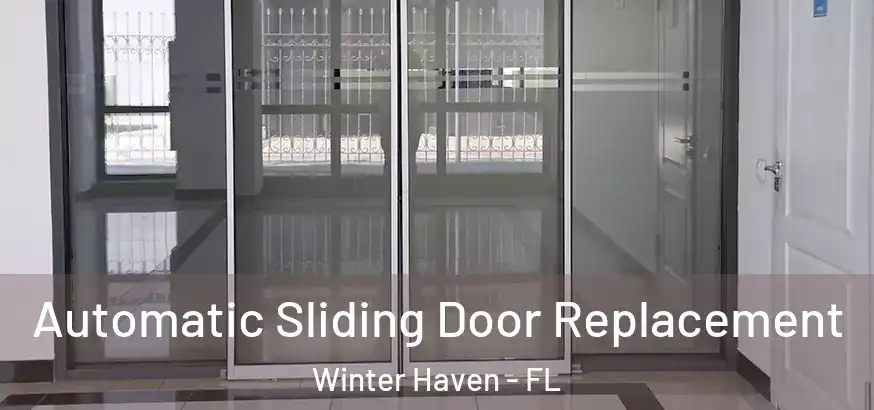  Automatic Sliding Door Replacement Winter Haven - FL