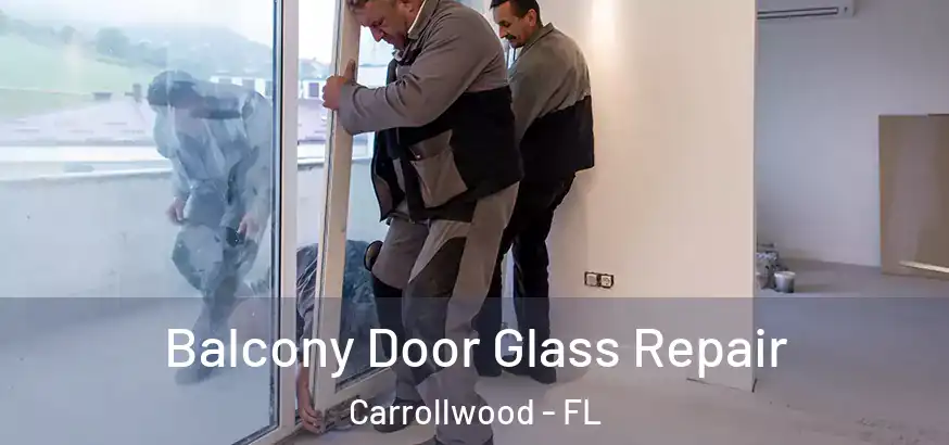 Balcony Door Glass Repair Carrollwood - FL