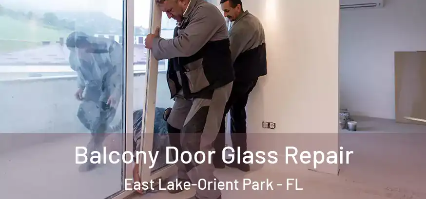  Balcony Door Glass Repair East Lake-Orient Park - FL