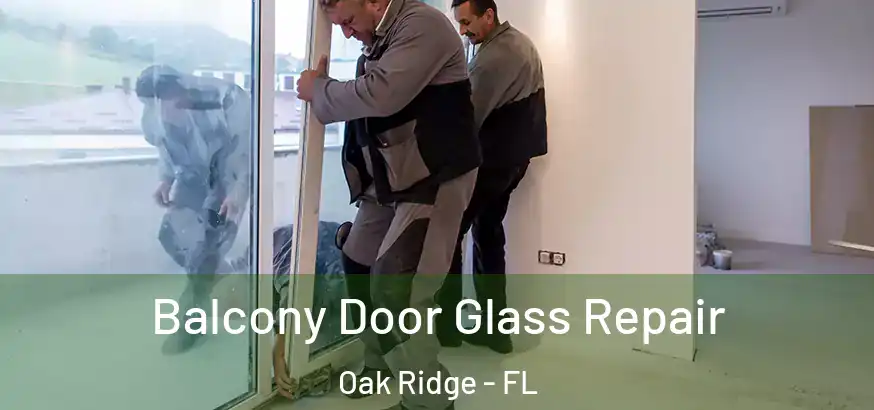  Balcony Door Glass Repair Oak Ridge - FL