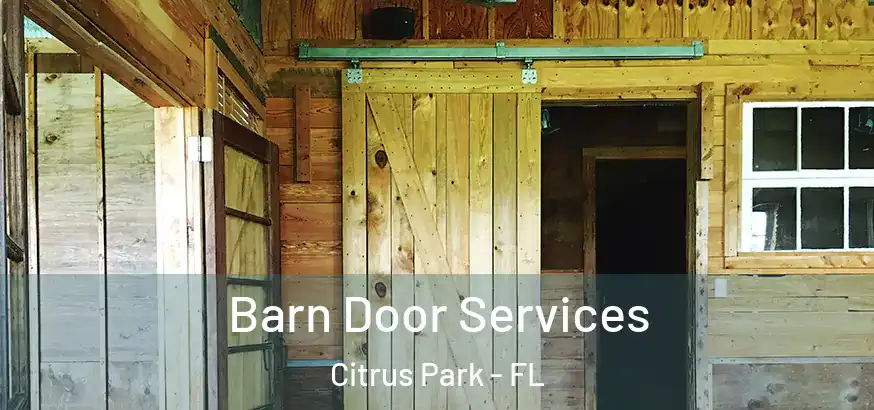 Barn Door Services Citrus Park - FL