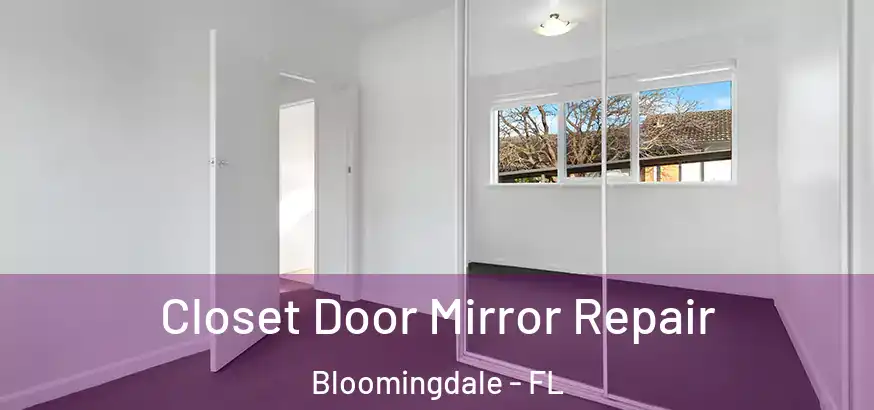  Closet Door Mirror Repair Bloomingdale - FL