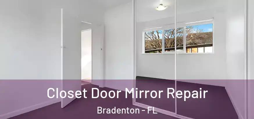  Closet Door Mirror Repair Bradenton - FL