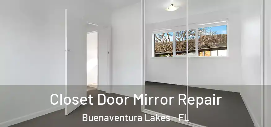  Closet Door Mirror Repair Buenaventura Lakes - FL