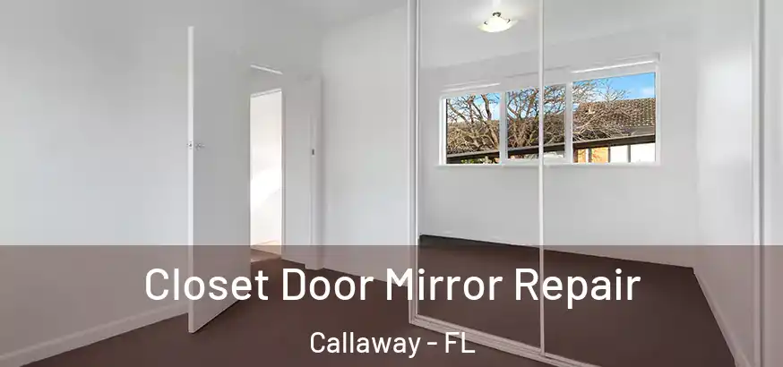  Closet Door Mirror Repair Callaway - FL