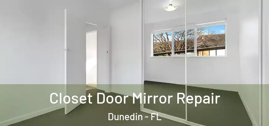  Closet Door Mirror Repair Dunedin - FL