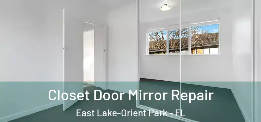 Closet Door Mirror Repair East Lake-Orient Park - FL