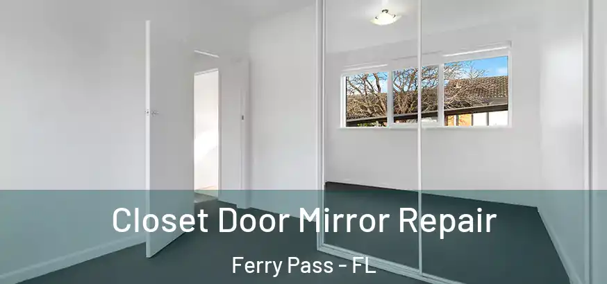 Closet Door Mirror Repair Ferry Pass - FL