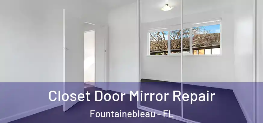  Closet Door Mirror Repair Fountainebleau - FL
