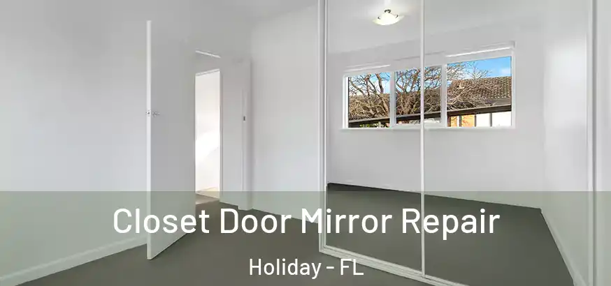 Closet Door Mirror Repair Holiday - FL