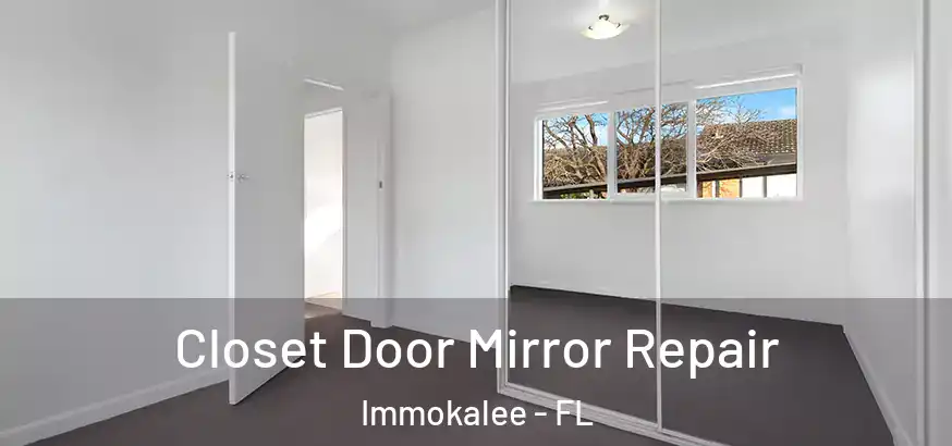  Closet Door Mirror Repair Immokalee - FL