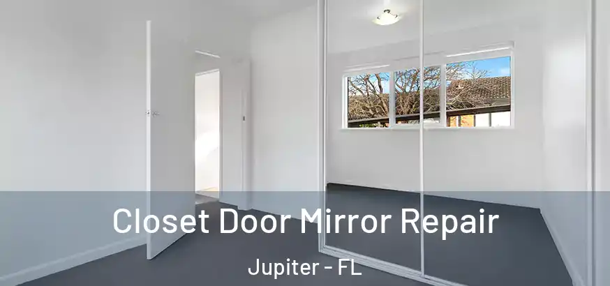  Closet Door Mirror Repair Jupiter - FL