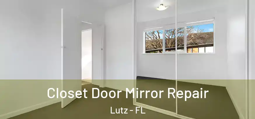  Closet Door Mirror Repair Lutz - FL