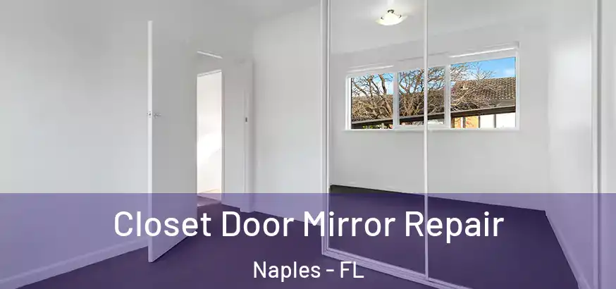 Closet Door Mirror Repair Naples - FL