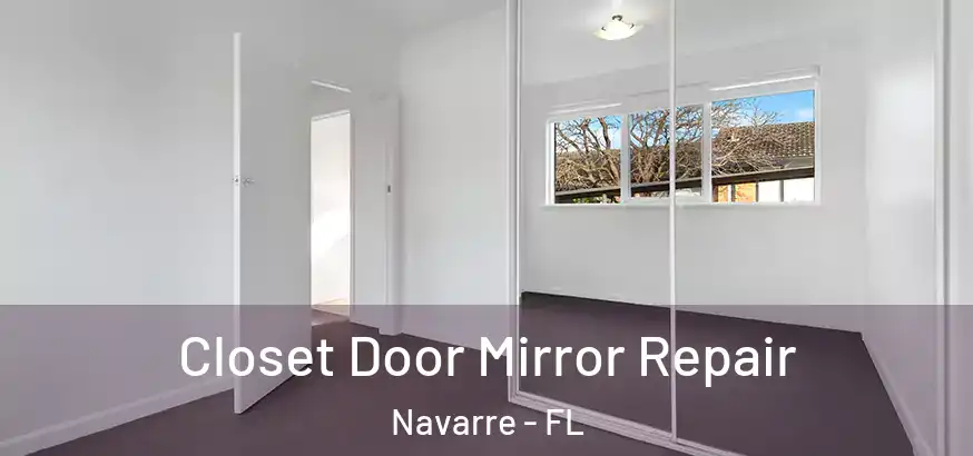  Closet Door Mirror Repair Navarre - FL