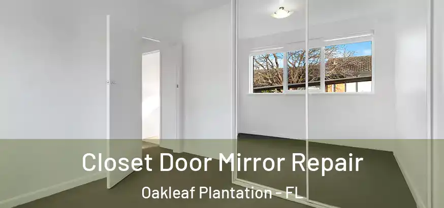  Closet Door Mirror Repair Oakleaf Plantation - FL