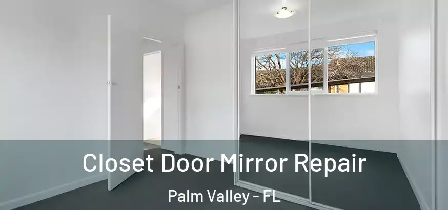 Closet Door Mirror Repair Palm Valley - FL