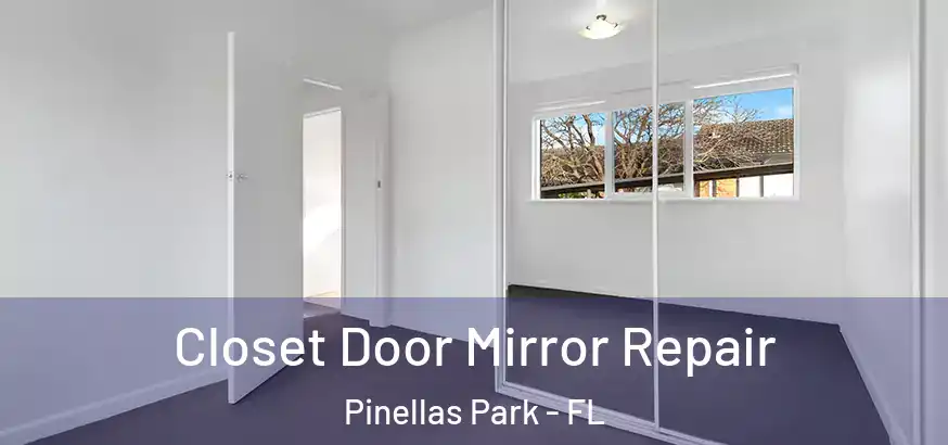  Closet Door Mirror Repair Pinellas Park - FL