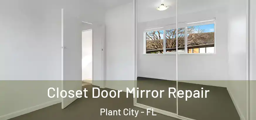  Closet Door Mirror Repair Plant City - FL