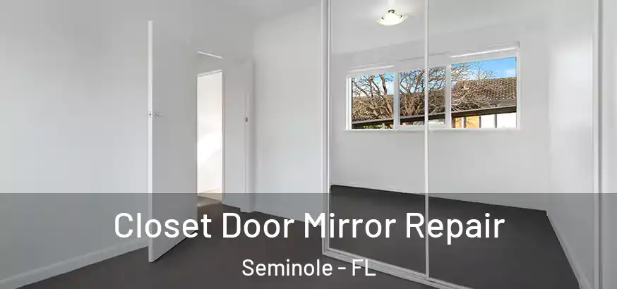  Closet Door Mirror Repair Seminole - FL