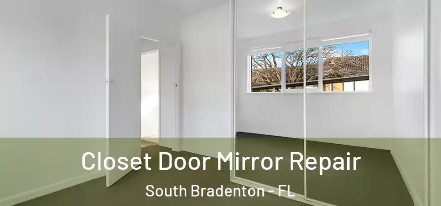  Closet Door Mirror Repair South Bradenton - FL