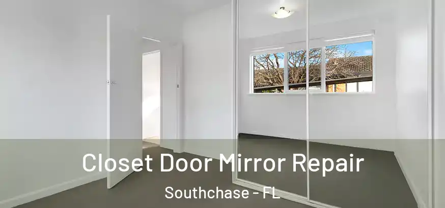 Closet Door Mirror Repair Southchase - FL