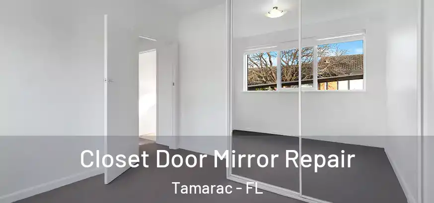  Closet Door Mirror Repair Tamarac - FL