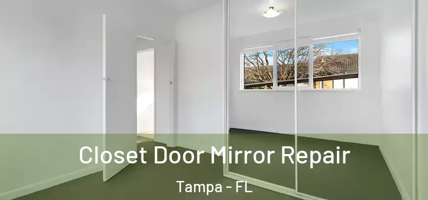  Closet Door Mirror Repair Tampa - FL