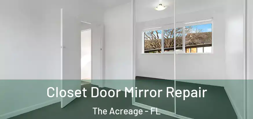  Closet Door Mirror Repair The Acreage - FL