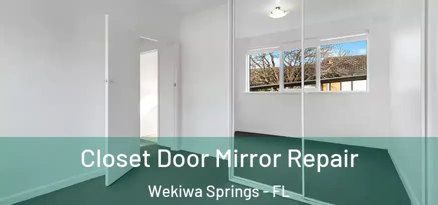  Closet Door Mirror Repair Wekiwa Springs - FL