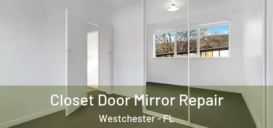  Closet Door Mirror Repair Westchester - FL