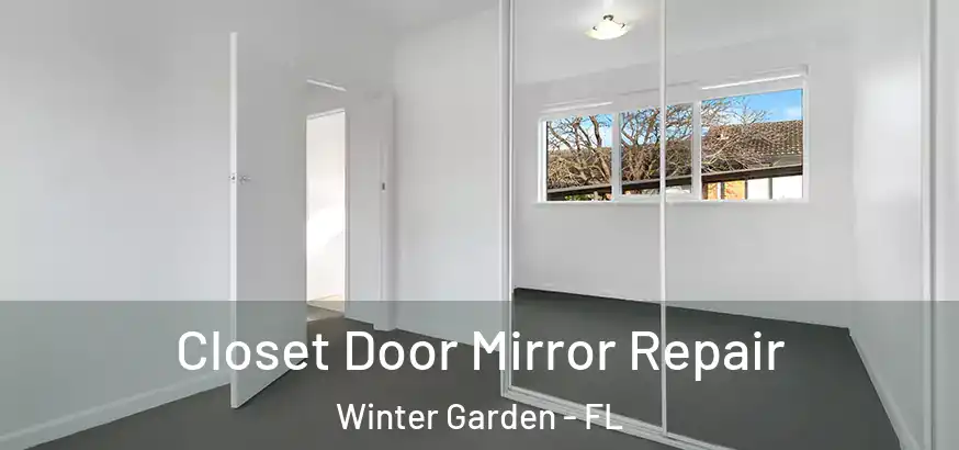  Closet Door Mirror Repair Winter Garden - FL