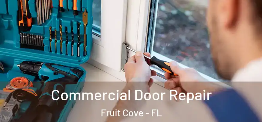  Commercial Door Repair Fruit Cove - FL