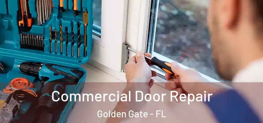 Commercial Door Repair Golden Gate - FL