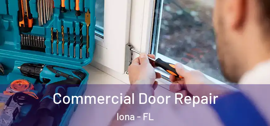  Commercial Door Repair Iona - FL