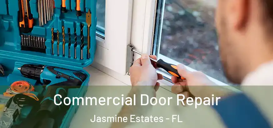  Commercial Door Repair Jasmine Estates - FL