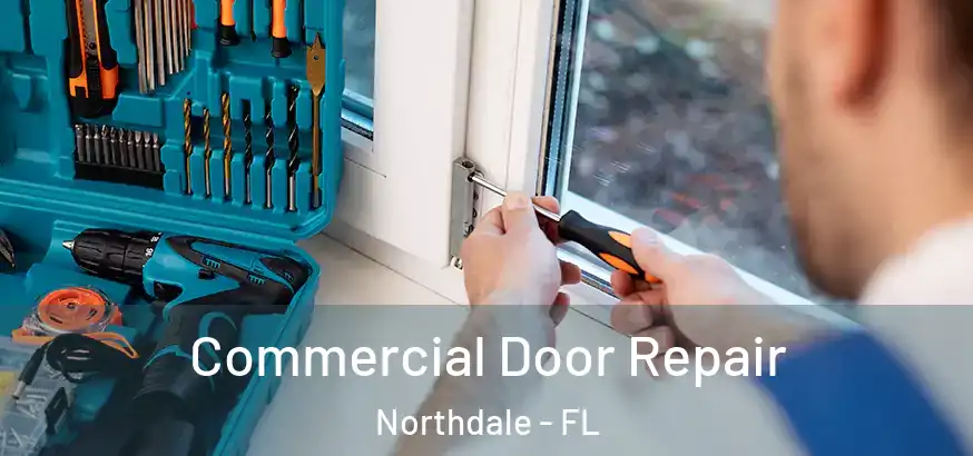 Commercial Door Repair Northdale - FL