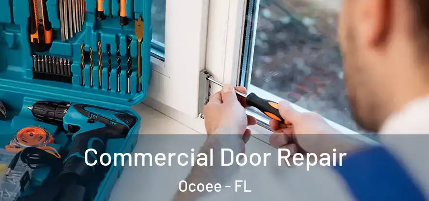  Commercial Door Repair Ocoee - FL