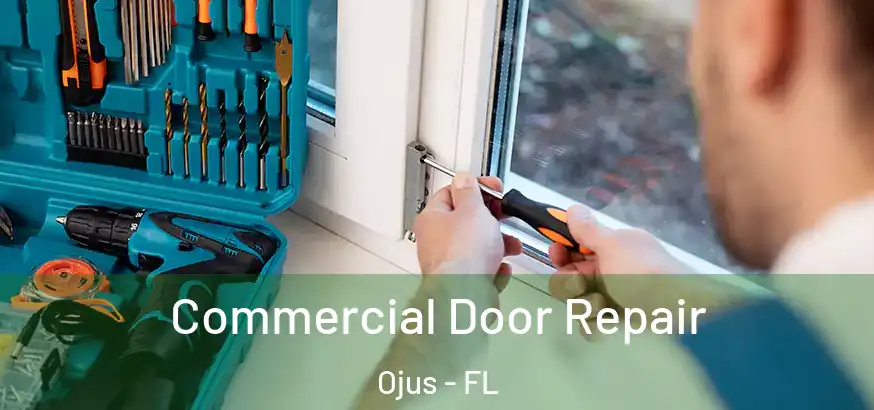  Commercial Door Repair Ojus - FL