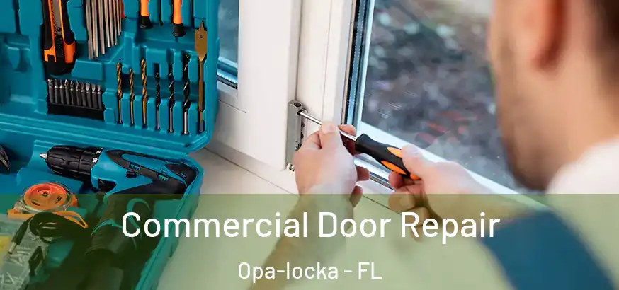Commercial Door Repair Opa-locka - FL