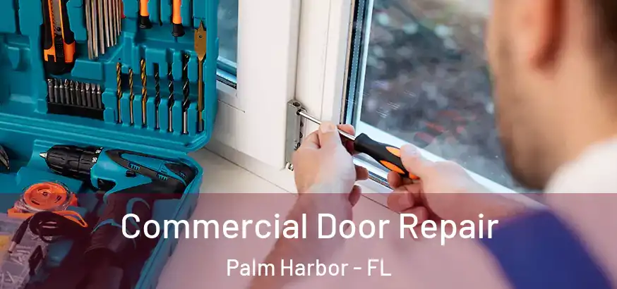 Commercial Door Repair Palm Harbor - FL