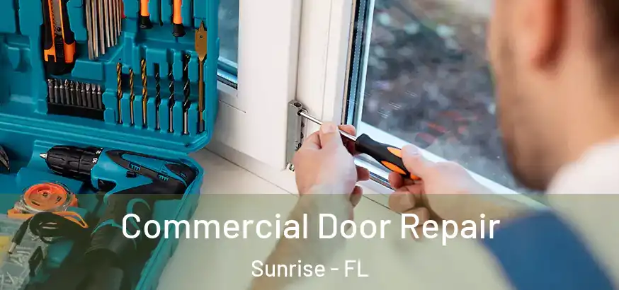 Commercial Door Repair Sunrise - FL