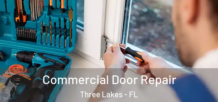  Commercial Door Repair Three Lakes - FL