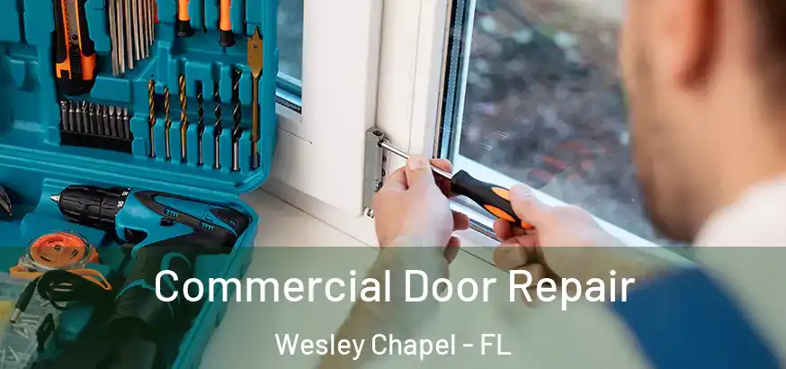  Commercial Door Repair Wesley Chapel - FL